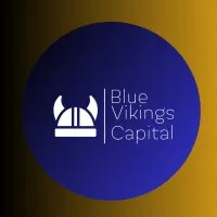 Blue Vikings Capital LLC