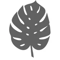 Little Palm Design Group