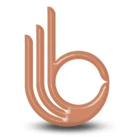 Best Solution® Business Setup Consultancy Best Solution® Business Setup Consultancy