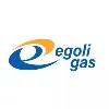 Egoli Gas (Pty) Ltd Egoli Gas (Pty) Ltd