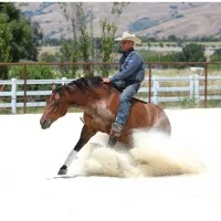 Warwick Schiller Performance Horsemanship