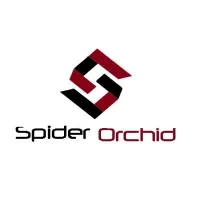 Spider Orchid Spider Orchid