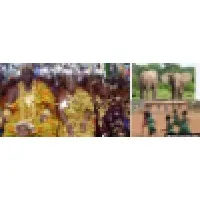 Can Do Land Tours Ghana