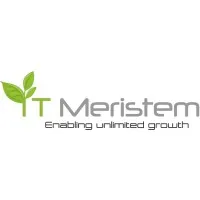 IT Meristem