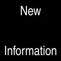 New Information New Information