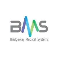 Bridgeway Medical Systems