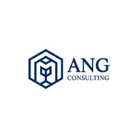 ANG Consulting ANG Consulting