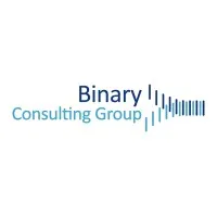 Binary Consulting Group
