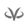 VirtualZ Computing