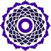 True Wealth Ventures True Wealth Ventures