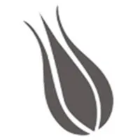 Tulip Hotels Group