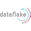 Dataflake LLC Dataflake LLC
