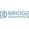 Bridge Diagnostics Bridge Diagnostics
