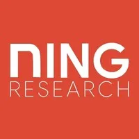 NING Research | FEA & CFD Professional