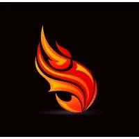 Fireball Express Courier Inc.
