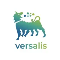 Versalis email format