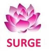 Surge Software Solutions PVT Ltd