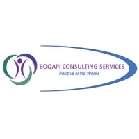 Boqapi Consulting Services (Pty) Ltd