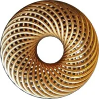 Doughnut Economics Advocates New Zealand (DEANZ)