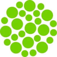 Chameleon Technology (UK) Ltd