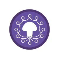 Intercollegiate Psychedelics Network (IPN)