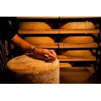 Washed Rind Group