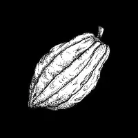 The Chocolate Bar NZ