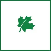 Maple Financial Maple Financial
