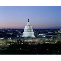 Government Contractor