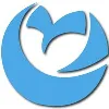 Geo Owl Geo Owl