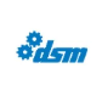 DSM Consulting Engineers DSM Consulting Engineers