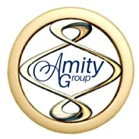 The Amity Group, Inc