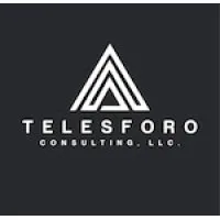 Telesforo Consulting, LLC Telesforo Consulting, LLC