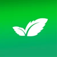 Visual Mint Technologies