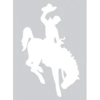 McMullen County School