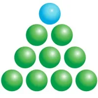 Top Seeds International Ltd. Top Seeds International Ltd.