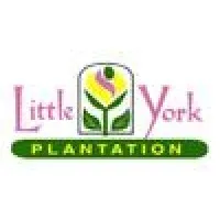 Little York Plantation Llc