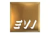 Executive Visions Inc