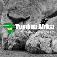 Vumbua Africa Vumbua Africa