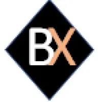 BX CONSULTING