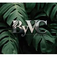 ByVC Professional 
