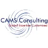 CAMS Consulting CAMS Consulting