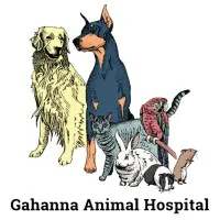 Gahanna Animal Hospital