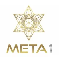 META 1 Coin