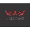 Pelicans Pelicans
