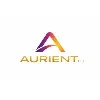 Aurient Group, LLC Aurient Group, LLC