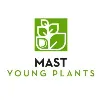 Mast Young Plants Mast Young Plants