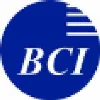 Business Consulting Institute Business Consulting Institute