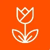 DutchTechX