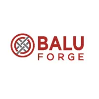 Balu Forge Industries Ltd